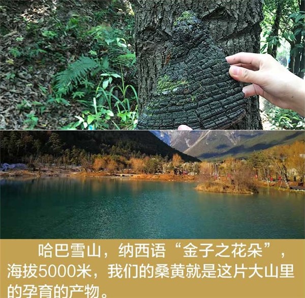 æ¡é»1