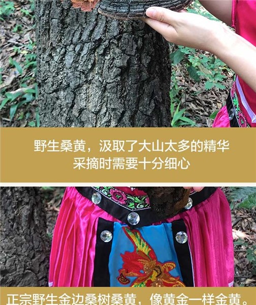 æ¡é»4