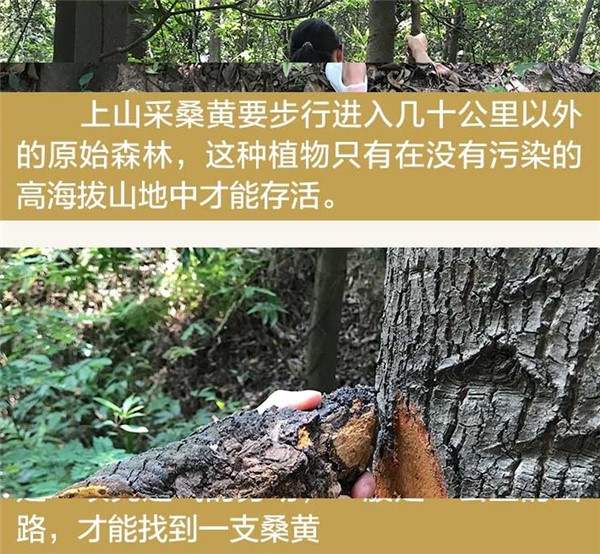 æ¡é»2