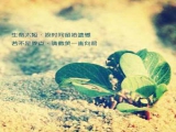 莓茶可以降血压吗？莓茶可以降血糖吗？莓茶可以降三高吗？