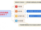 桑黄是人体免疫系统的活化剂“预治”肿瘤癌症的原理也源于此